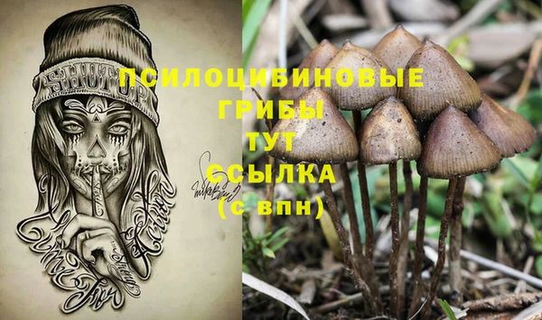 бутират Балабаново
