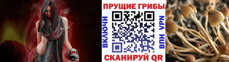 наркотики  Узловая  Псилоцибиновые грибы мухоморы 